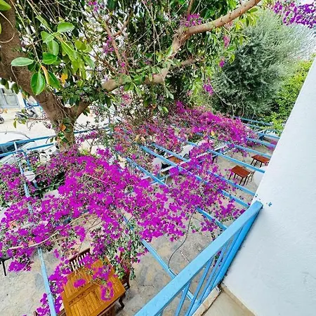 Bed and Breakfast Thetis