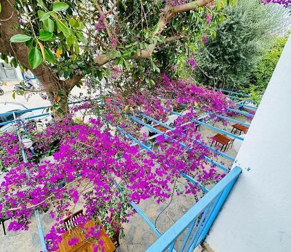 Bed & Breakfast Thetis